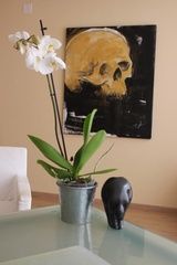 Ostéopathe Sebastian Byrde - cabinet - Morges