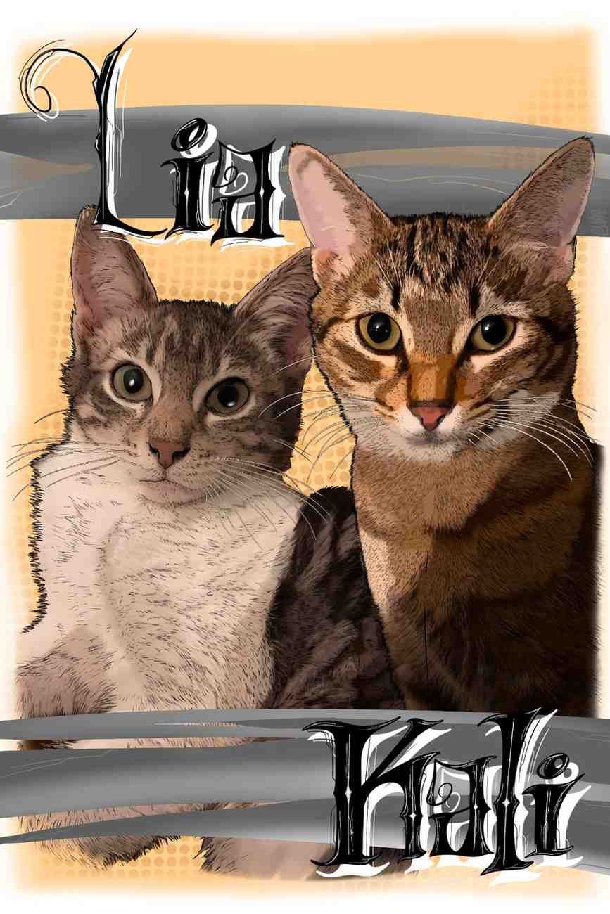 Dos gatos atigrados con texto metálico decorativo en la parte superior e inferior de un collage enmarcado.