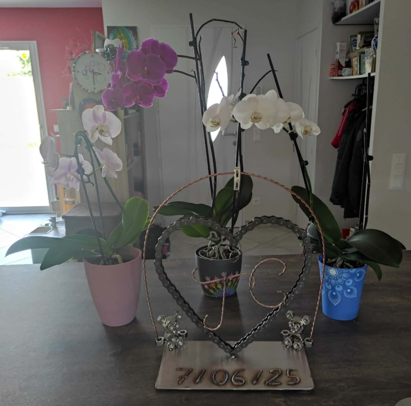 Trois orchidées en pot sont disposées derrière une sculpture métallique représentant un cœur et les lettres « JC » avec la date « 7/06/25 » sur une table.