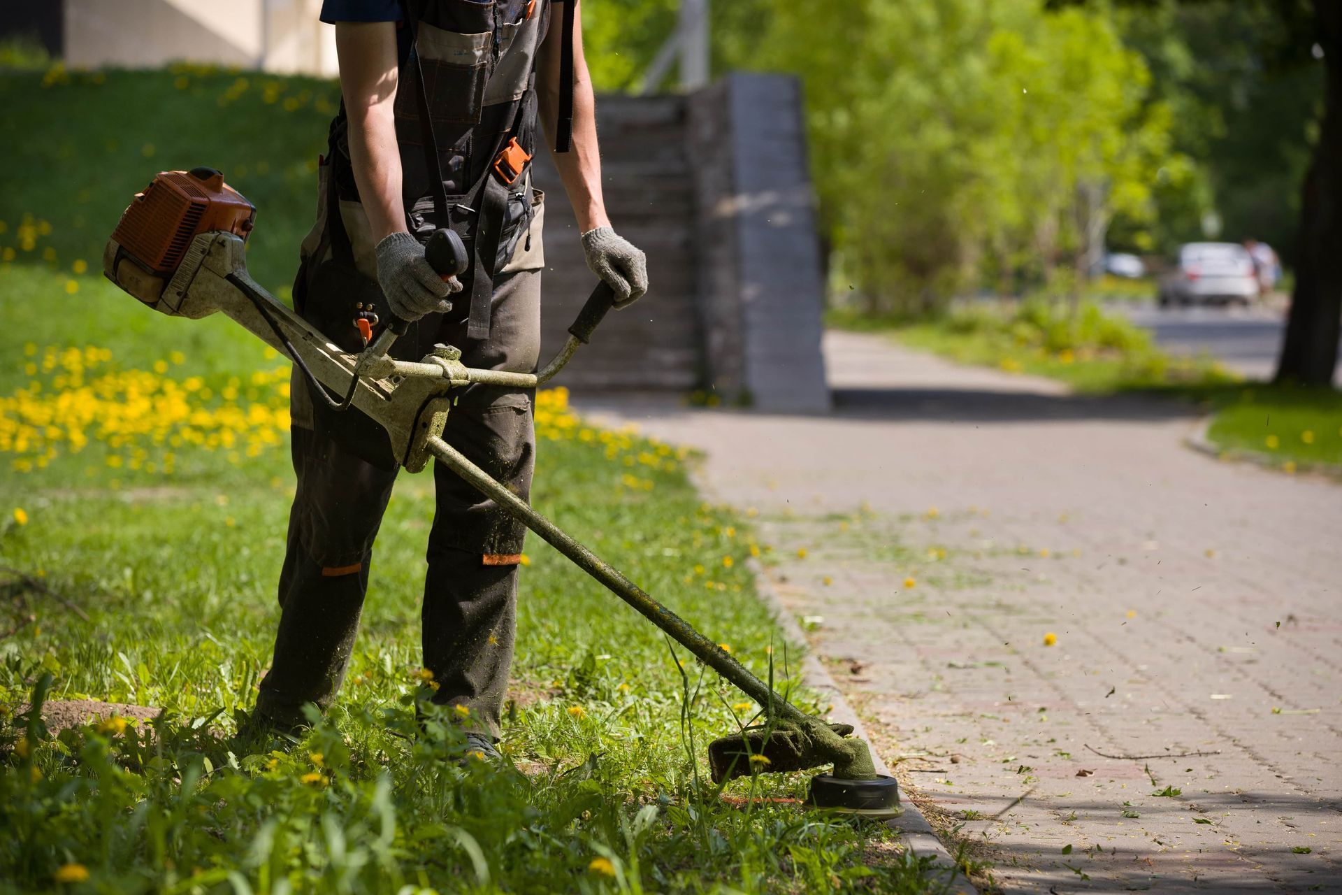 entretien jardins et extérieurs