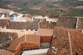 Tejados de un pueblo con techos de tejas marrones, rodeado de olivares en una ladera.