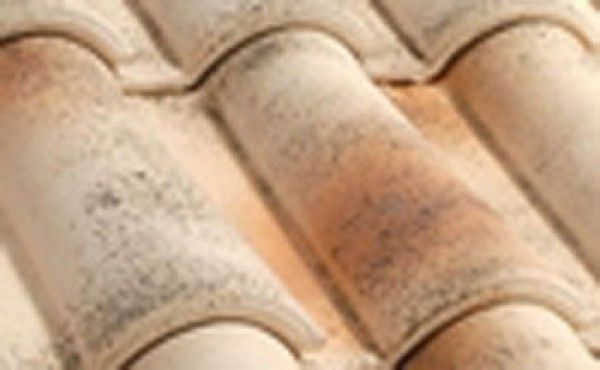 Un primer plano de una hilera de tejas en un tejado.