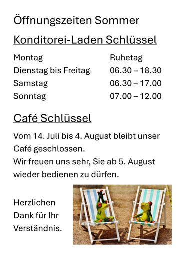 Ein Bild von zwei Fröschen, die in Gartenstühlen an einem Strand sitzen.
