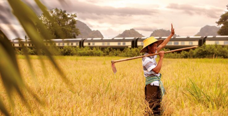 A man is standing in a field holding a hoe.