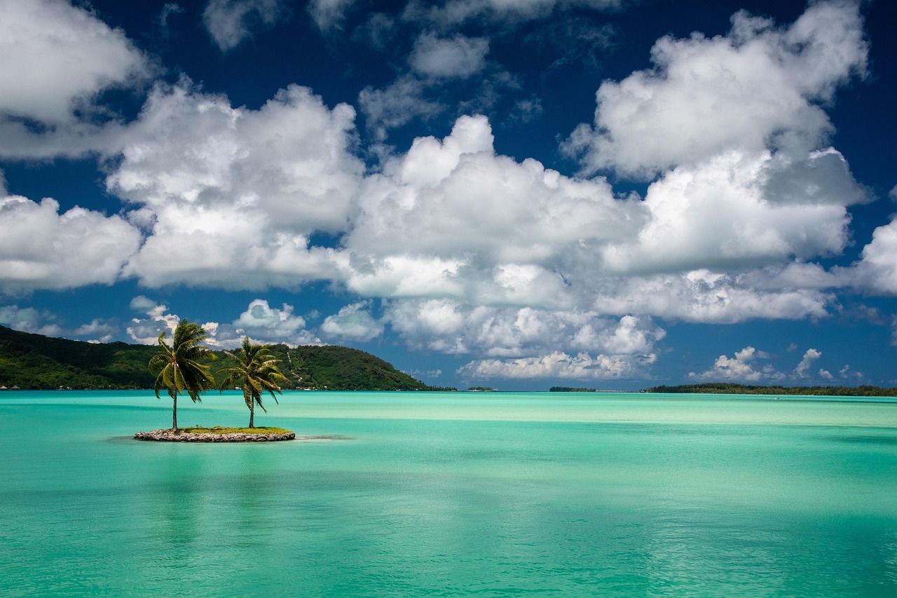 A small island with two palm trees in the middle of the ocean
