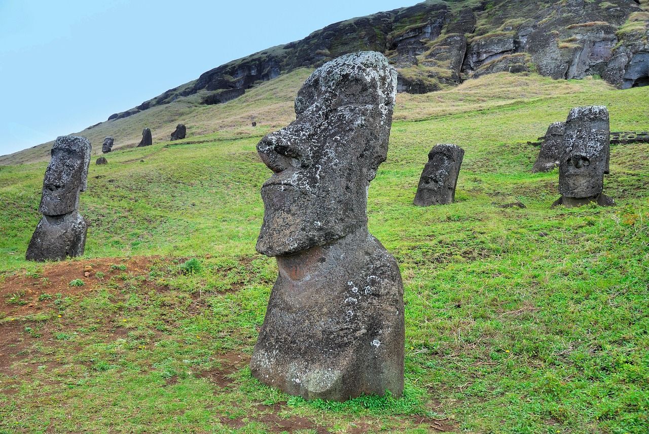 A group of moai statues are sitting in a grassy field on easter island