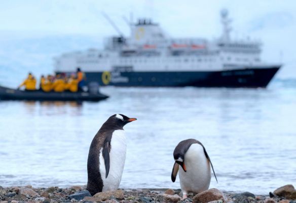 Two penguins standing on a rocky beach with a boat in the background in Antarctica