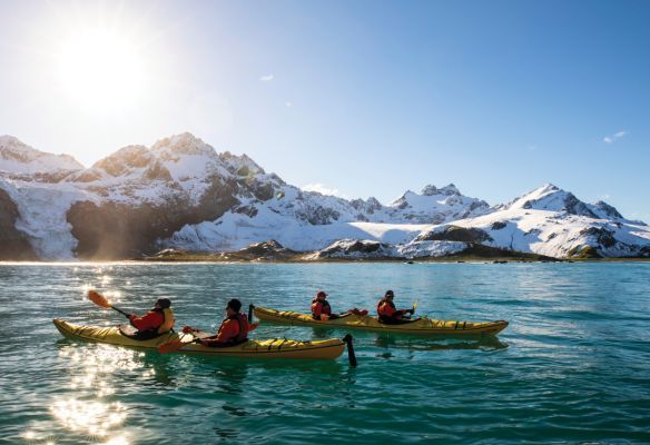 A group of people are kayaking in Antarctica with snowy mountains in the background.
