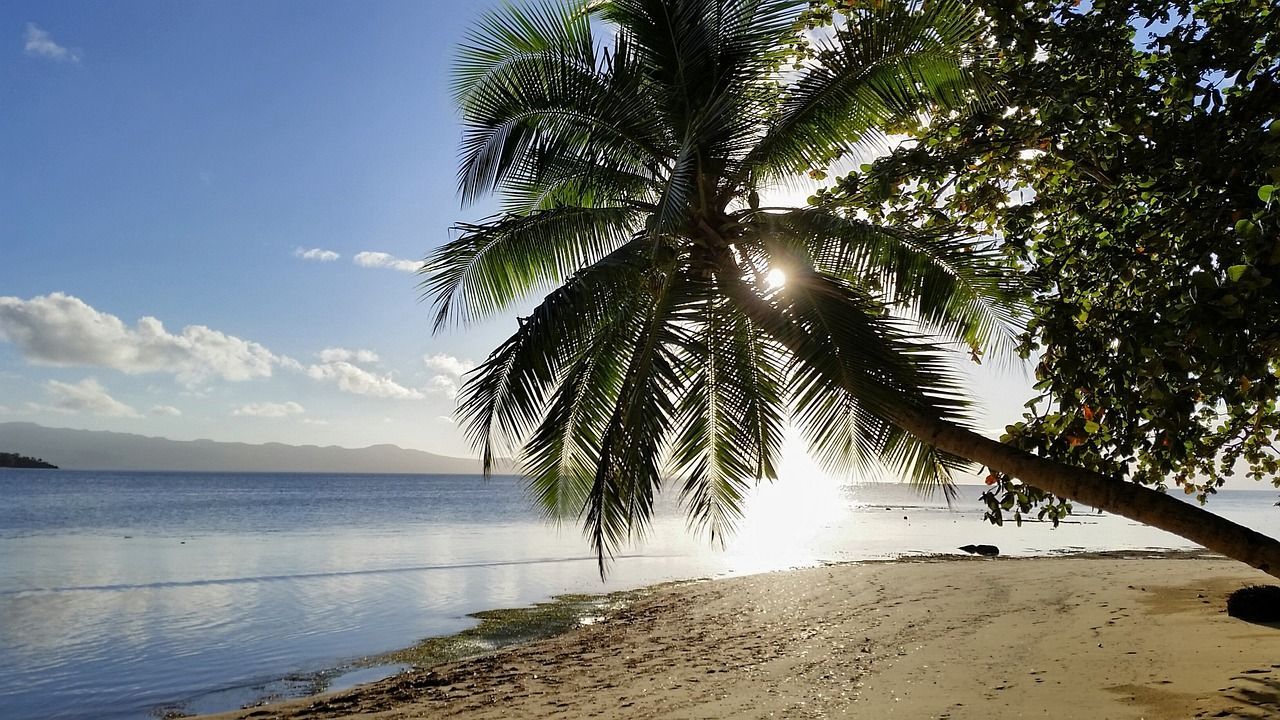 The sun is shining through the palm tree on the beach  on Azamara 2027 World Cruise