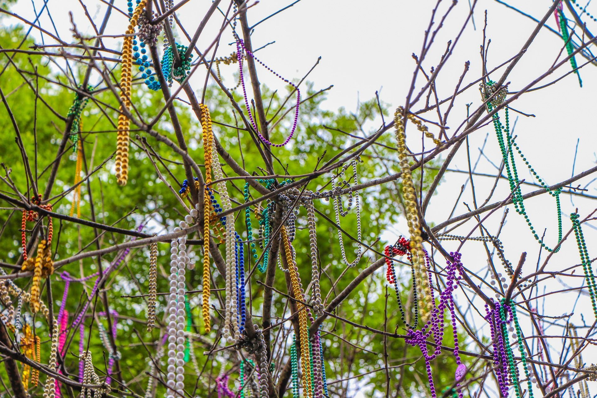 A tree with lots of beads hanging from the branches.