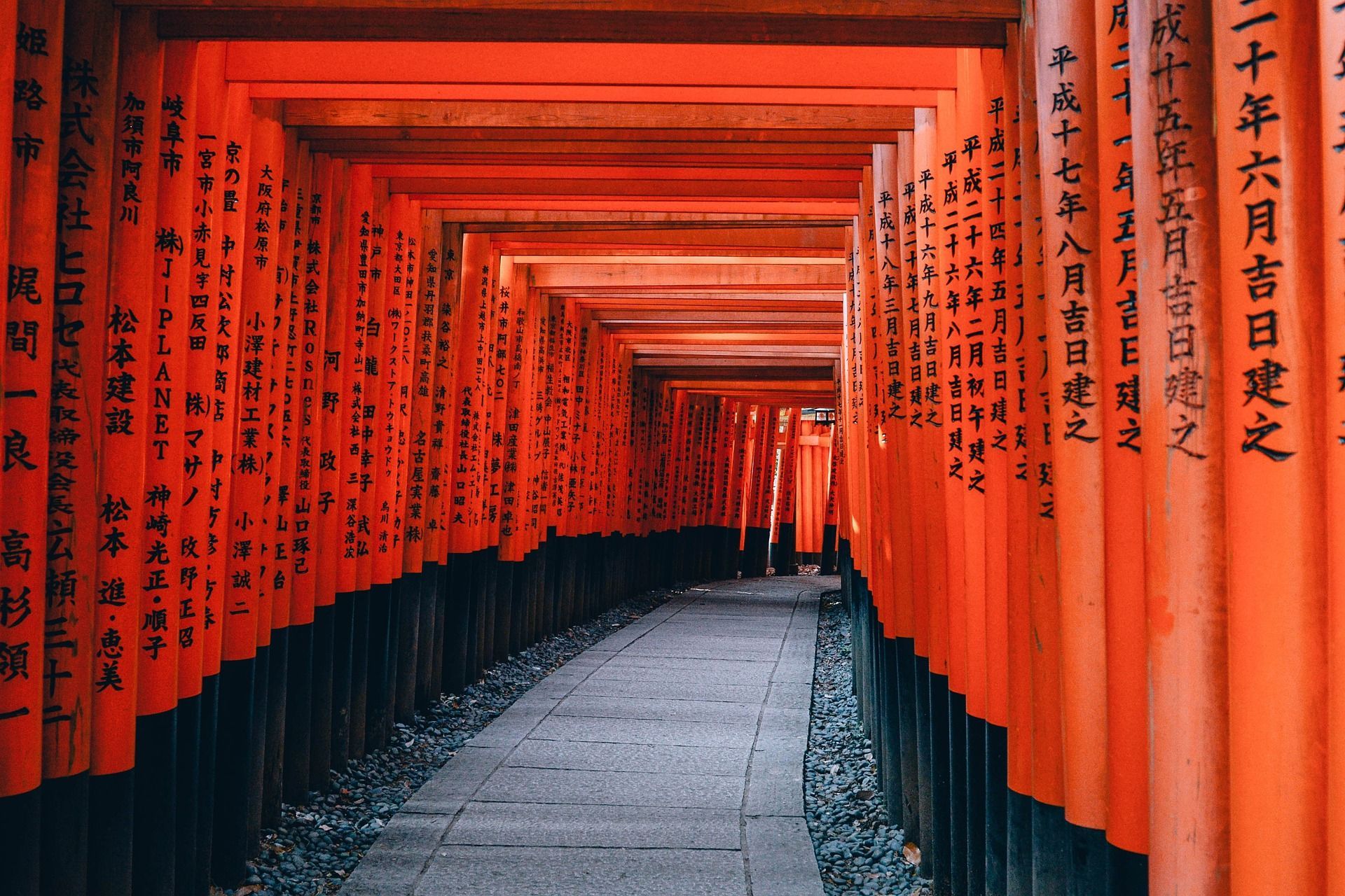 A row of red torii gates with chinese writing on them.