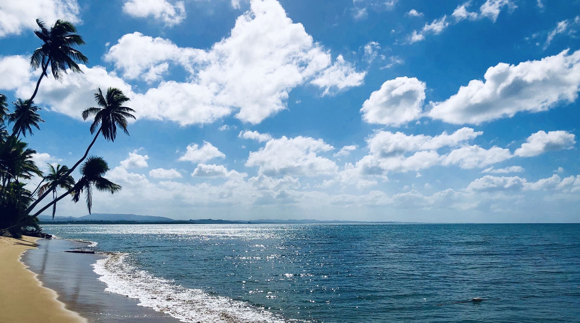 A beach with palm trees and a blue sky with clouds