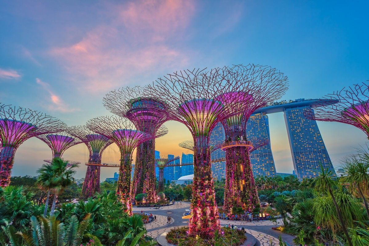A group of trees in a park with a bridge in the background in singapore