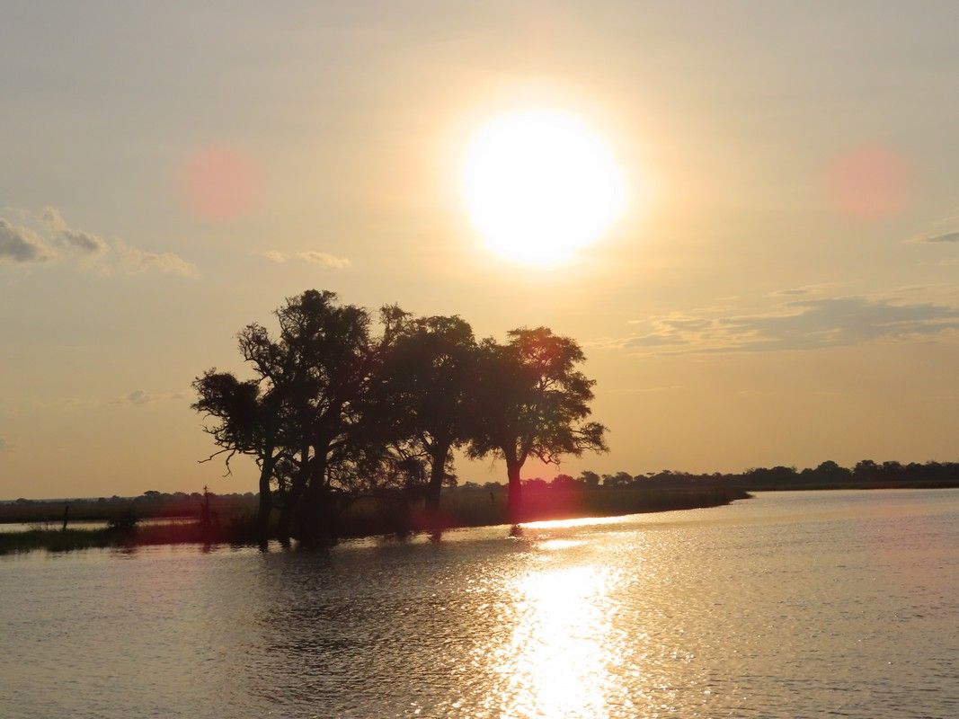The sun is setting over a body of water with trees in the foreground