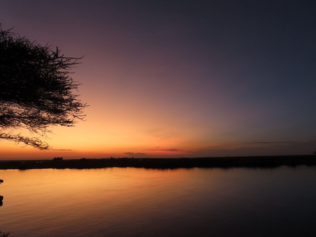 A sunset over a body of water with a tree in the foreground.