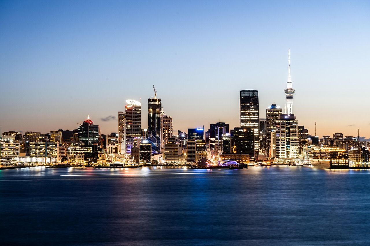 A city skyline is visible over a body of water at night.