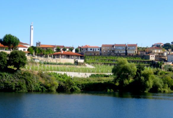 Terraced vineyards of the Douro Valley