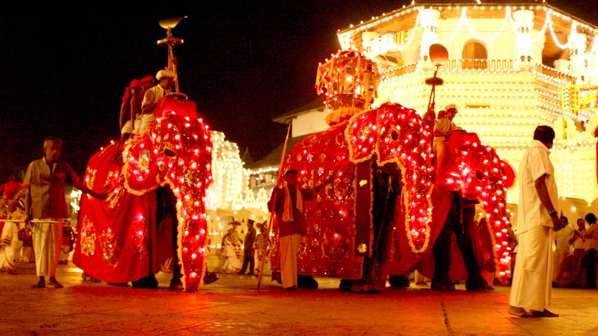 a couple of elephants with lights on them are standing in front of a building at Esala Perahera Festival, Sri Lanka