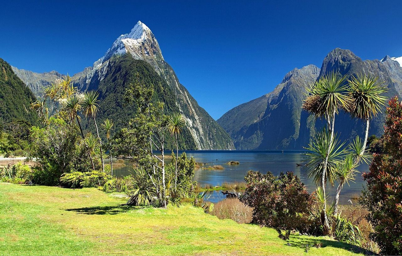 A lake with mountains in the background and trees in the foreground