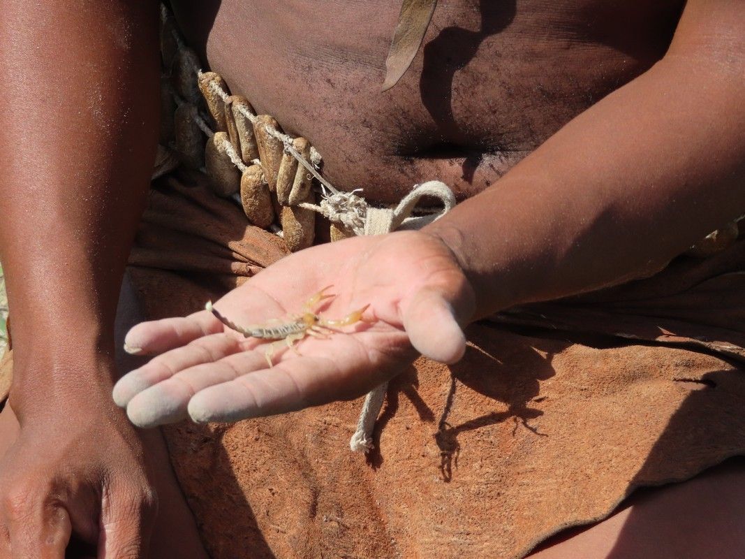 A person is holding a small grasshopper in their hand
