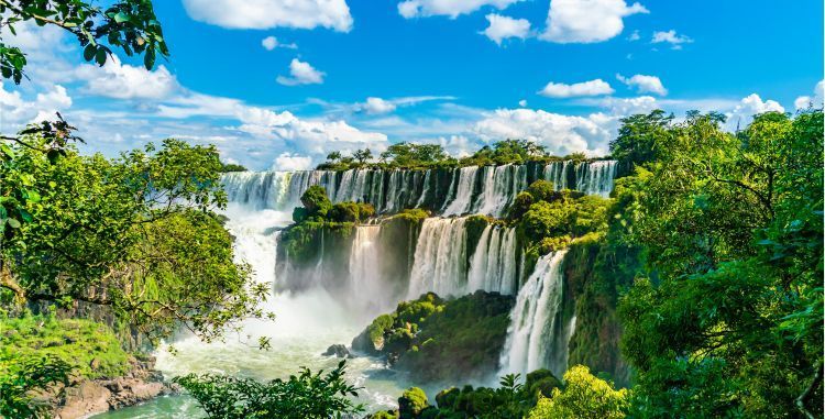 A waterfall in the middle of a lush green forest surrounded by trees in Brazil and Argentina