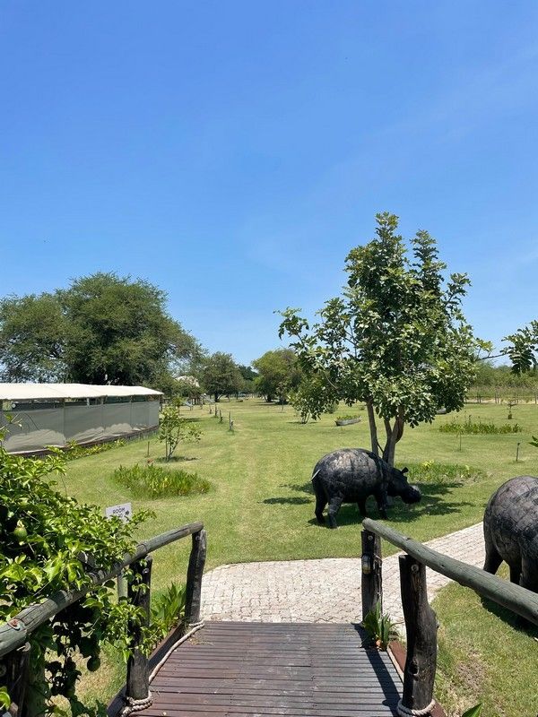 Two rhinos are walking across a wooden bridge in a field.