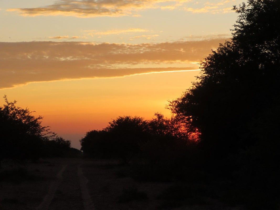 A sunset over a dirt road with trees in the foreground.