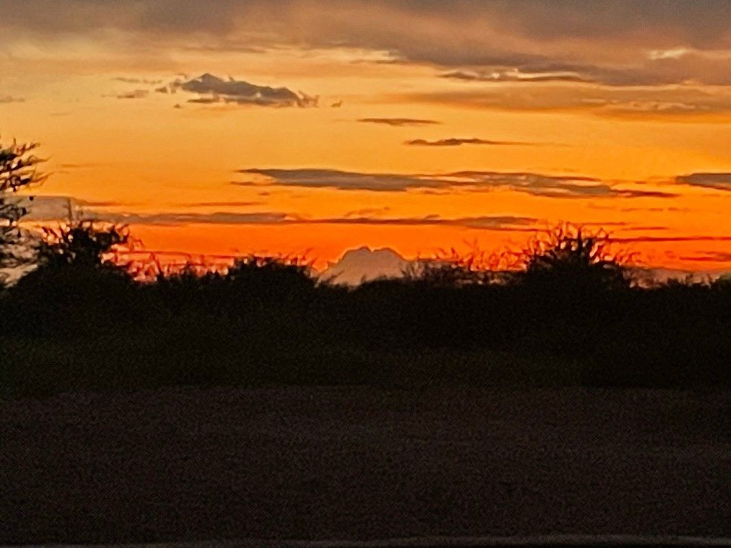 A sunset with trees in the foreground and a mountain in the background