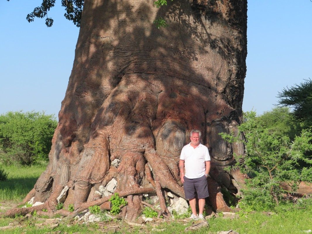 A man is standing next to a large tree in a field.