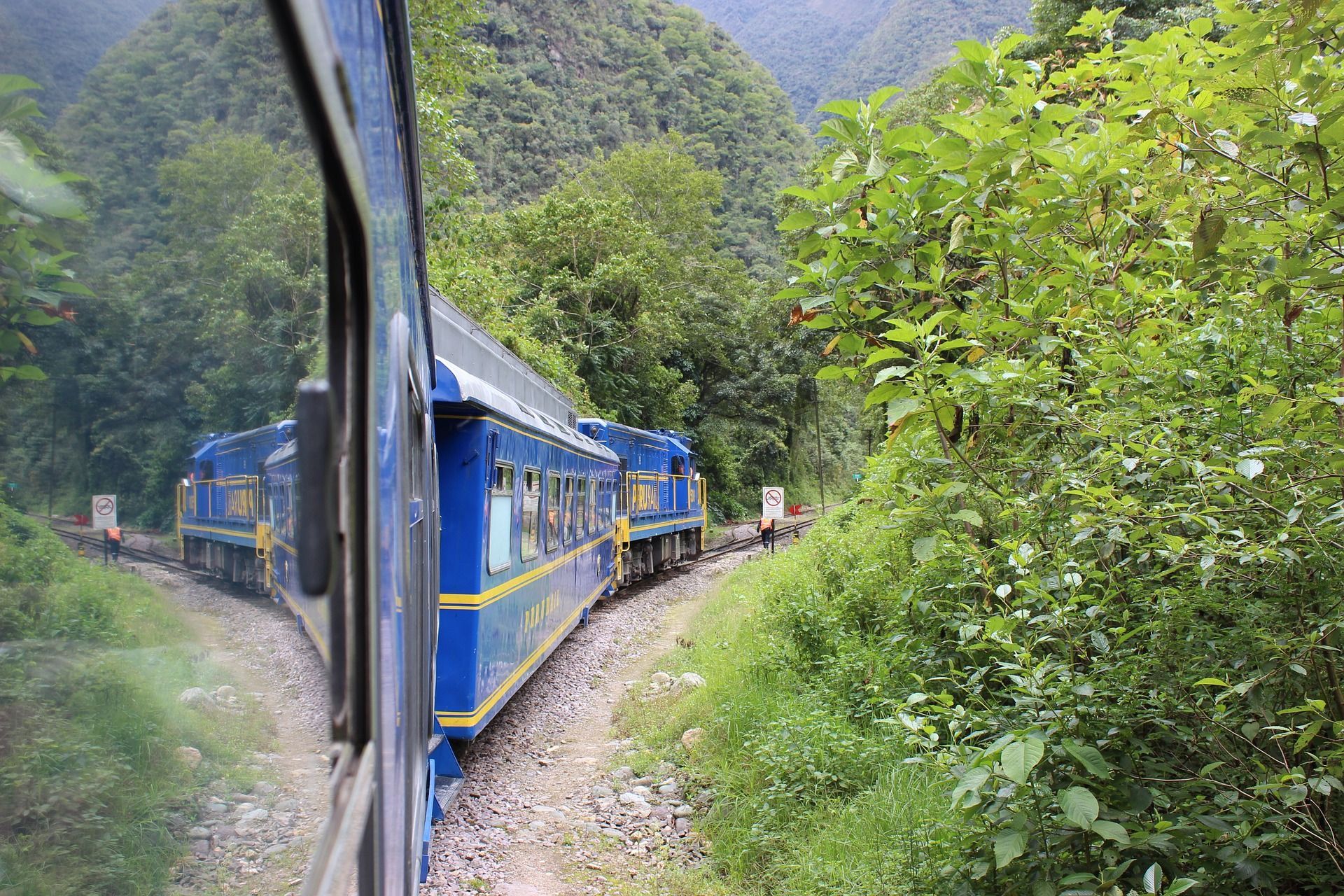 A blue and yellow train is going through a forest.