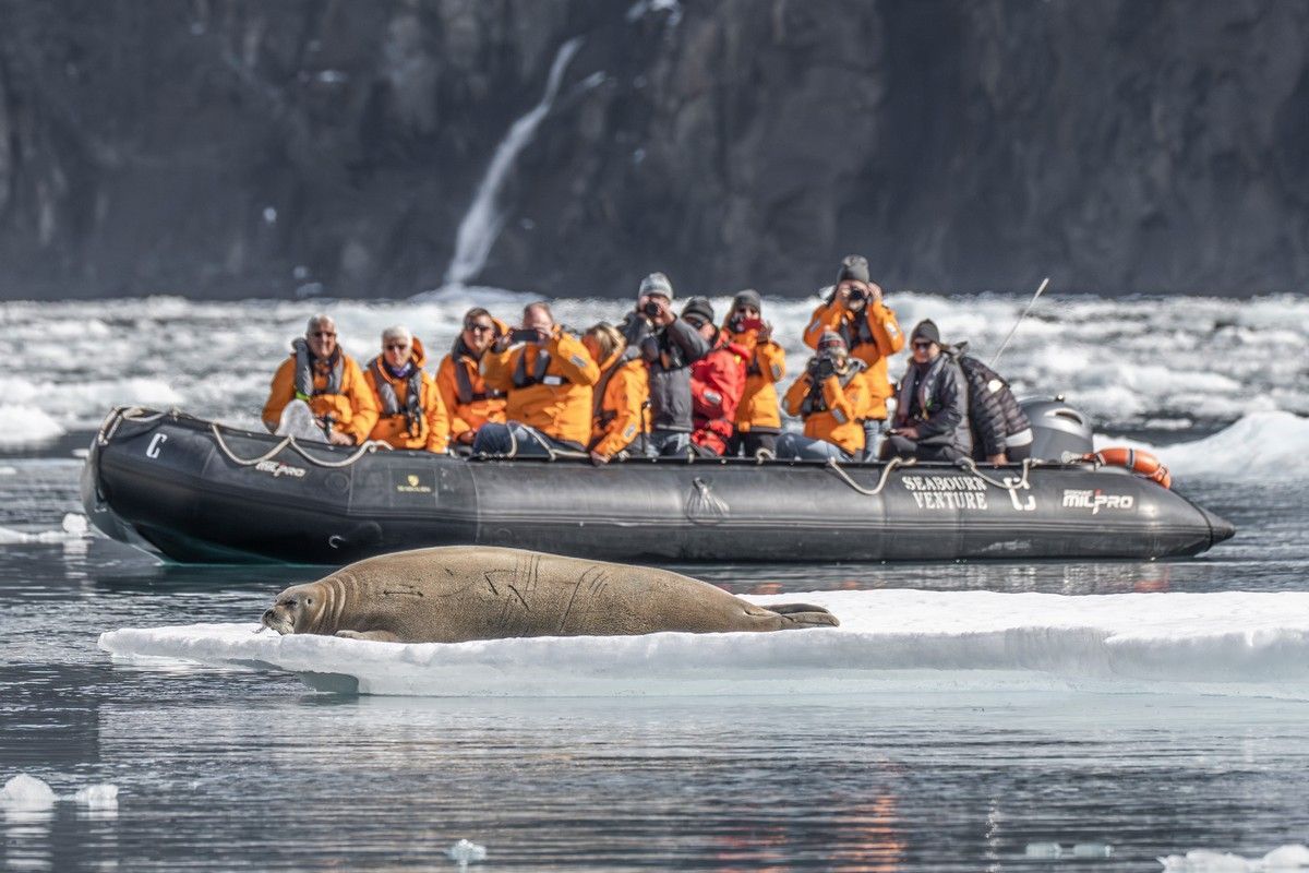 Seal spotting on Seabourn Venture A group of people in orange jackets on a black boat watch a seal on an ice floe in a cold, rocky setting.