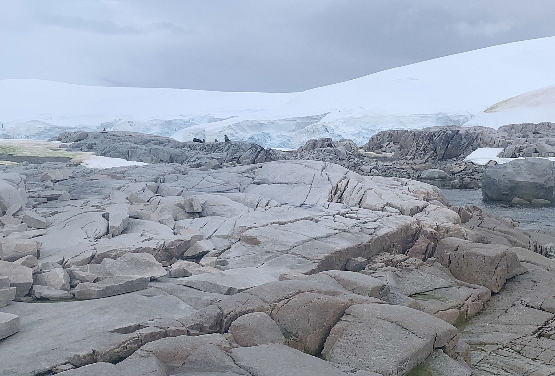 A rocky landscape with a glacier in the background in Antactica