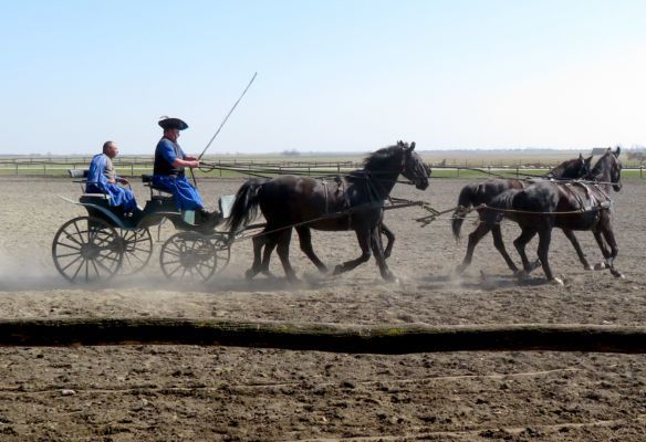 Puszta Cowboys carriage demonstration on Emerald River Cruises