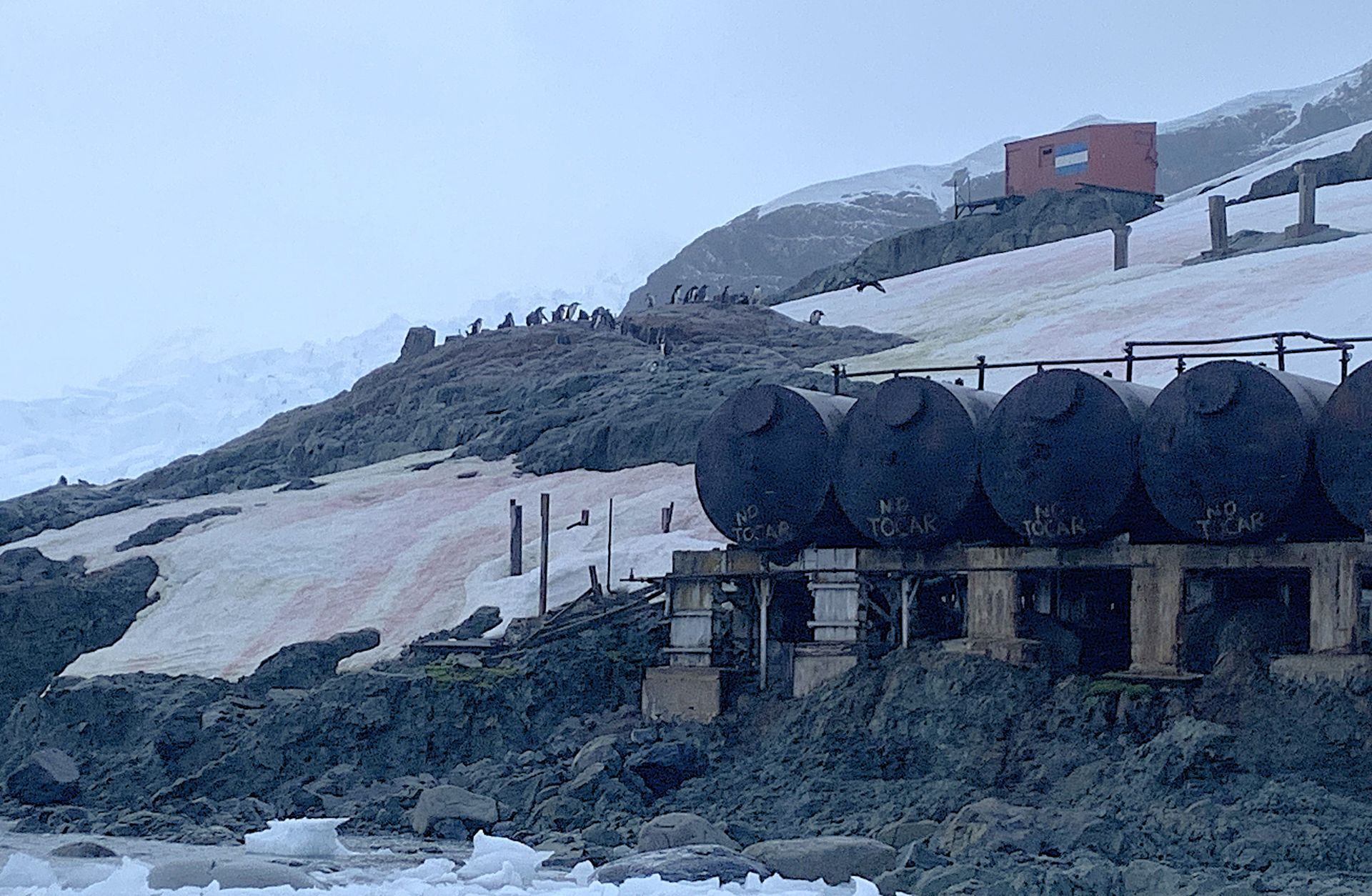 A row of barrels are sitting on top of a pile of rocks at Brown research station in Antarctica