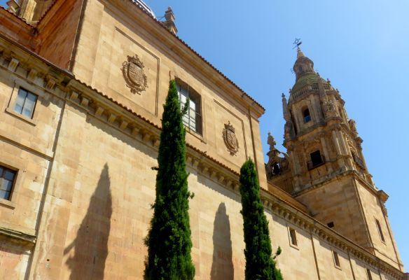Salamanca Tour from Vega de Terrón on the Douro River