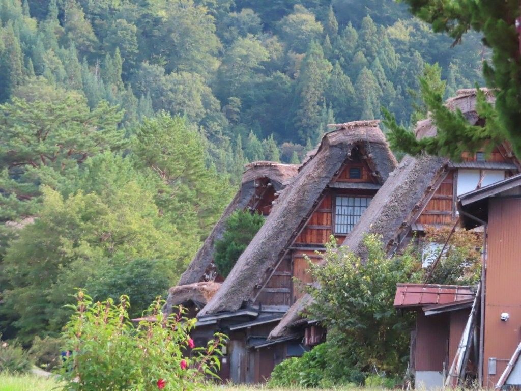 Traditional Japanese thatched-roof houses nestled amongst lush green trees, in a rural setting.
