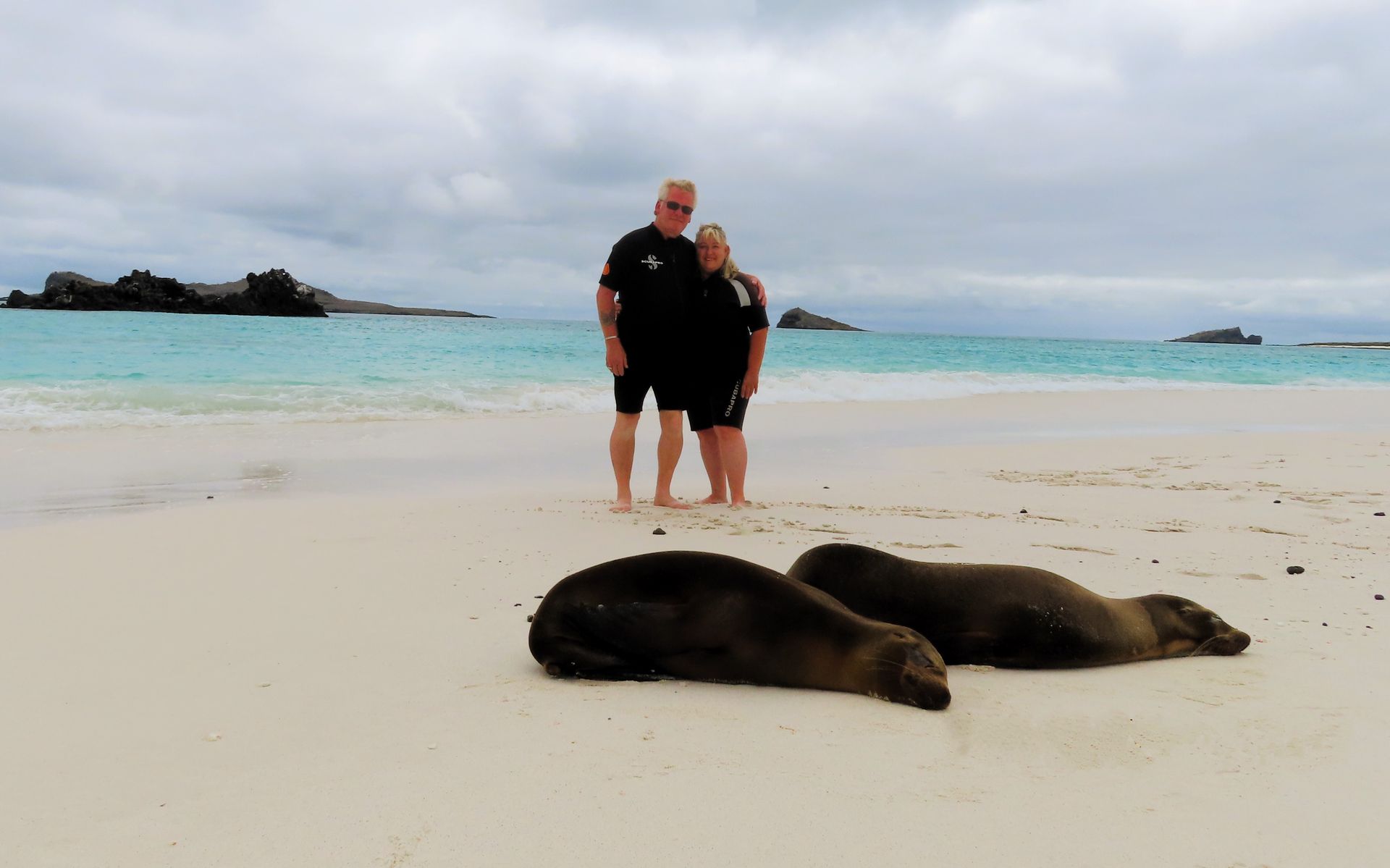 a man and woman are standing on a beach next to two sealions in the Galapagos