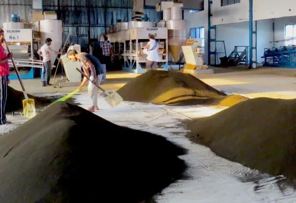 A group of people are working on a pile of tea in a factory.