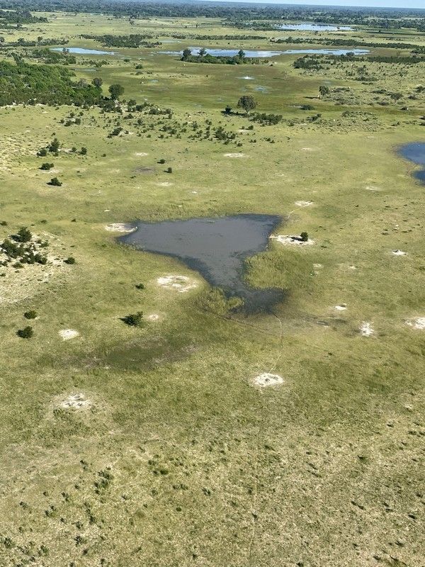 An aerial view of a grassy field with a small pond in the middle