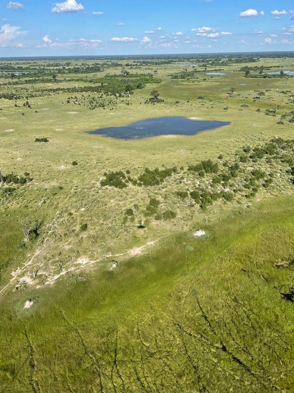 An aerial view of a lush green field with a small pond in the middle.