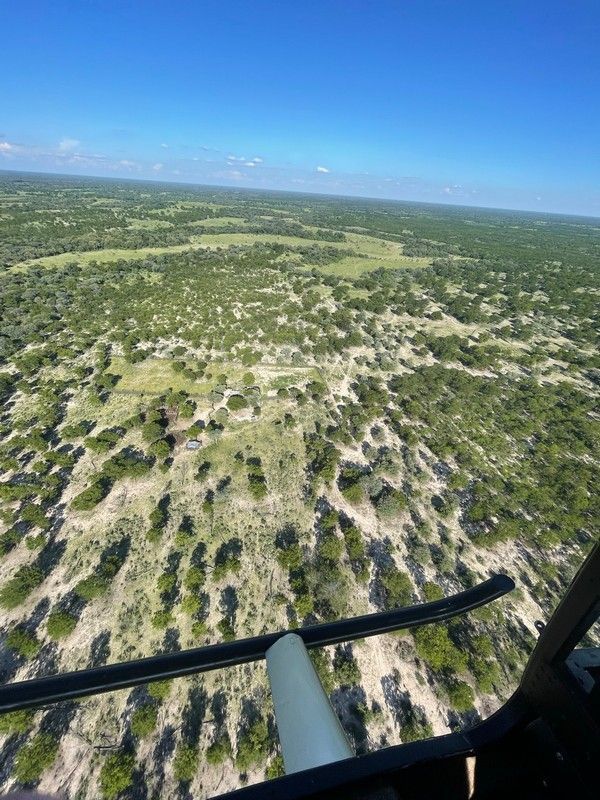 A plane is flying over a lush green forest.