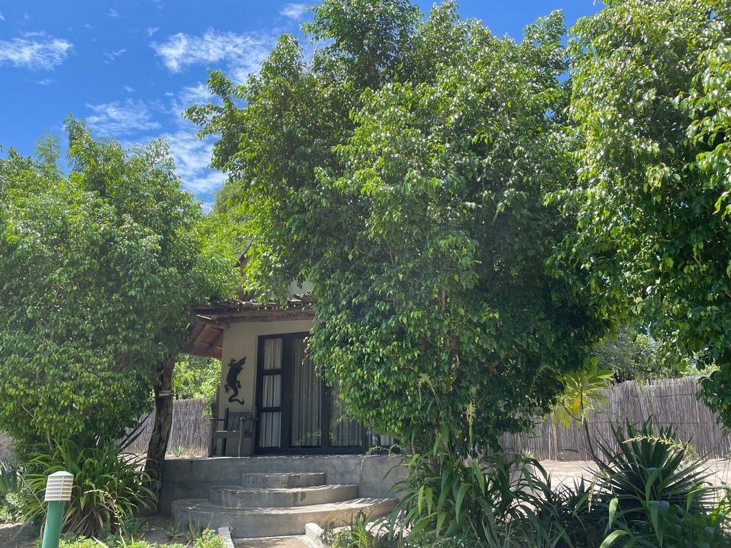 A small house is surrounded by trees and bushes on a sunny day.
