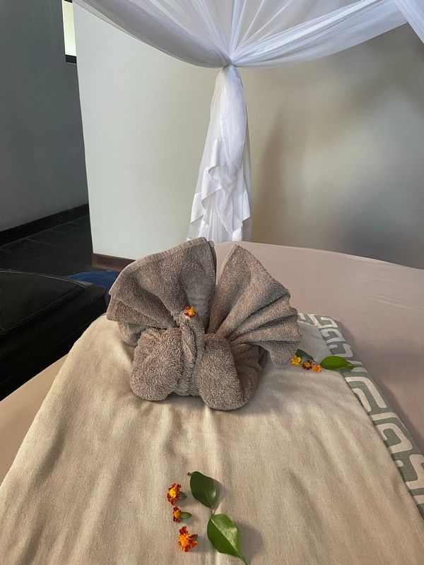 A towel folded in the shape of a peacock on a bed