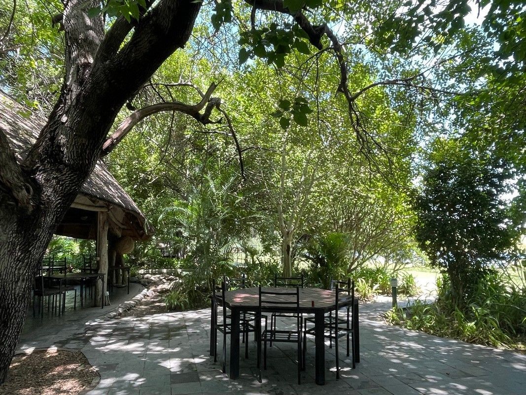A table and chairs are sitting under a tree in the woods.