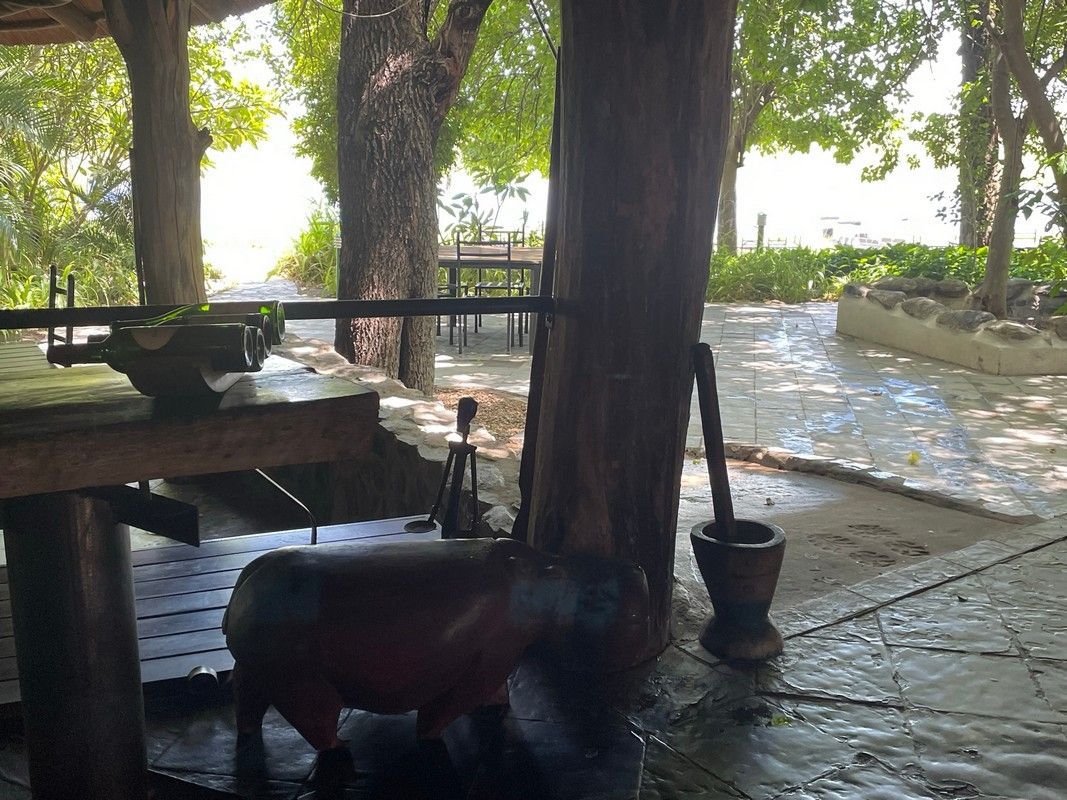 A statue of a hippopotamus is standing under a tree.