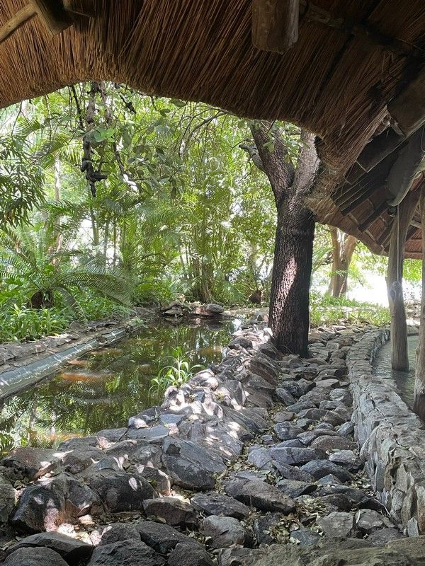 A small pond is surrounded by rocks and trees under a thatched roof.