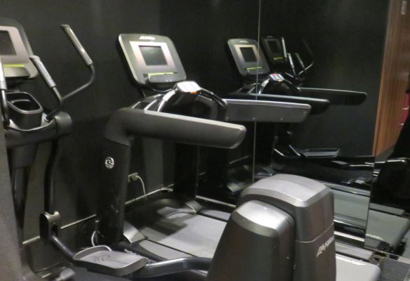 The Gym on board Emerald Radiance