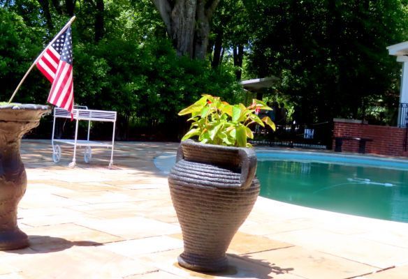 The Pool area at Graceland, a potted plant is sitting on a patio next to a swimming pool .