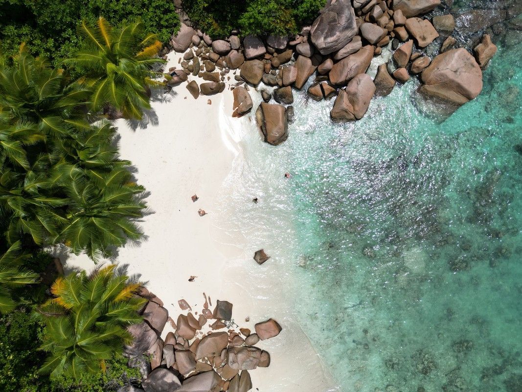 White sand beach with turquoise water, palm trees, and large brown rocks; aerial view.