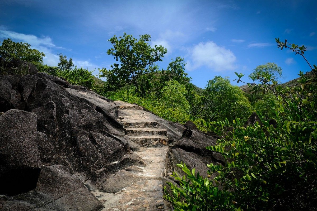 Stone steps wind through rocky terrain towards lush green trees under a blue sky.